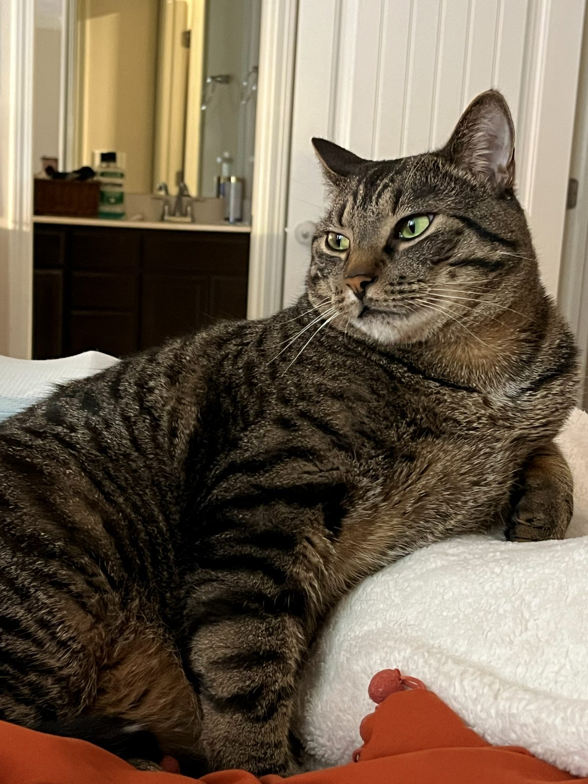 Brody looking to the side while relaxing